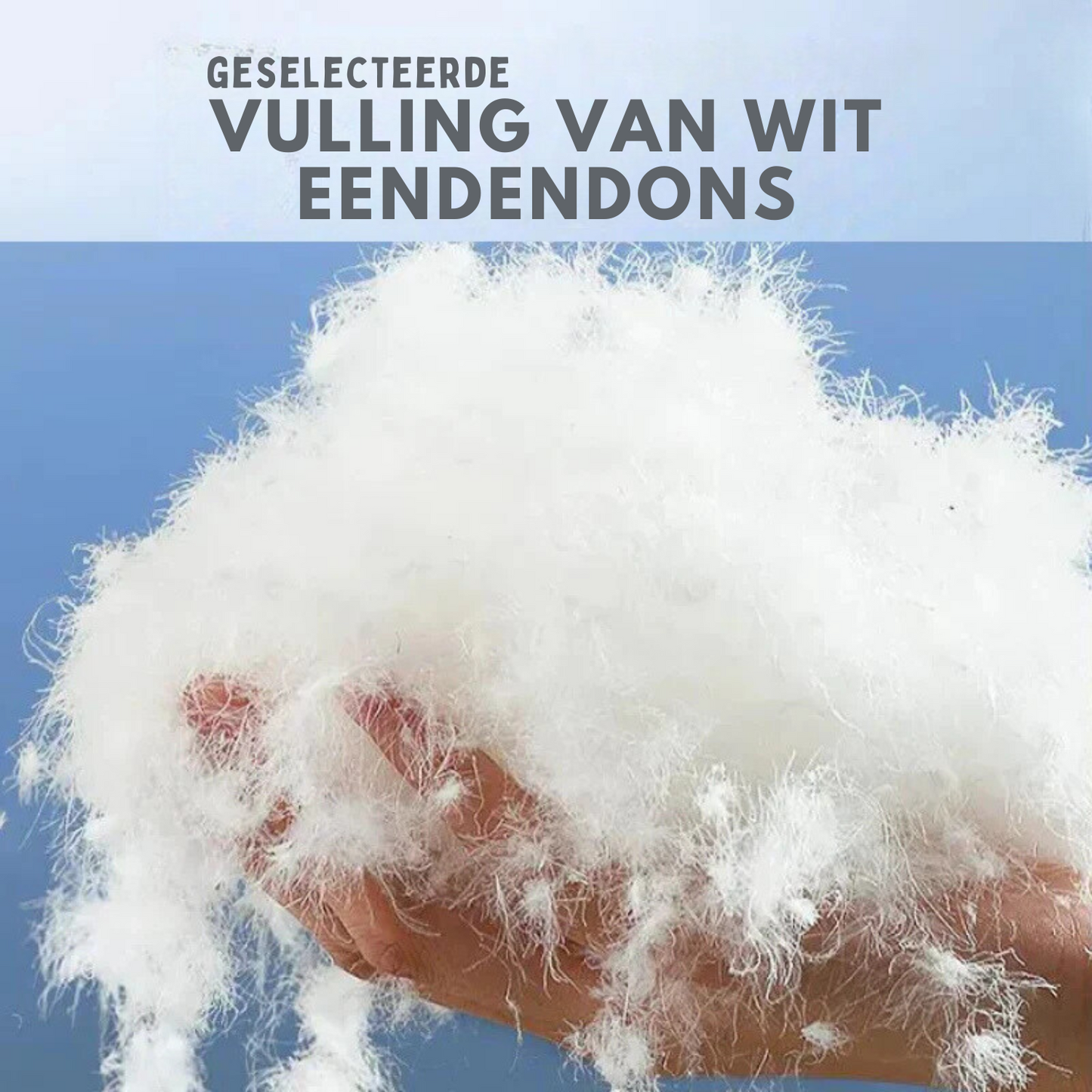Heren Winterjas Met Capuchon En Rits En Handige Meerdere Zakken